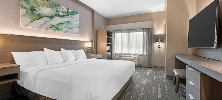 Best Western Plus Grand Rapids MN图片