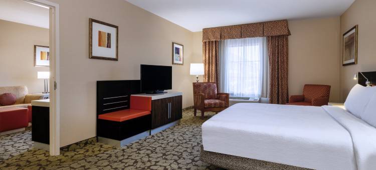 拉斯维加斯大道希尔顿花园酒店(Hilton Garden Inn Las Vegas Strip South)图片