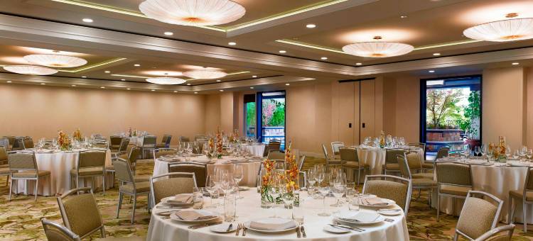 纳帕维拉萨威斯汀酒店(The Westin Verasa Napa)图片