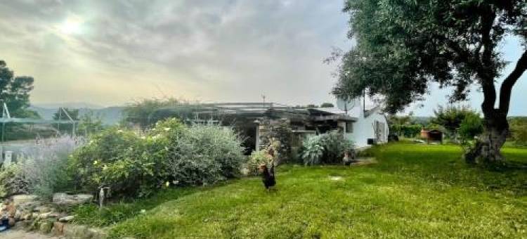 Le Corti Sarde Sea Breeze图片