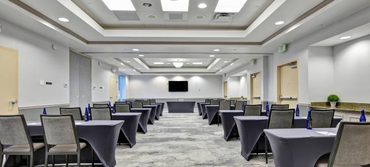 维斯塔湖希尔顿花园酒店(Hilton Garden Inn Lake Buena Vista/Orlando)图片