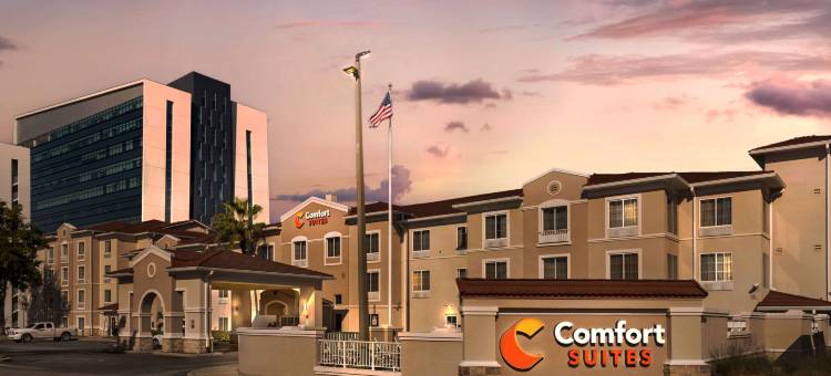 康福特套房市中心(Comfort Suites Downtown)图片