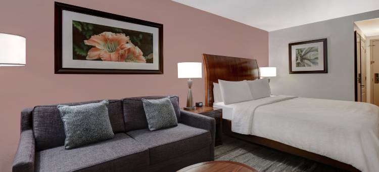 迈尔斯堡希尔顿花园酒店(Hilton Garden Inn Fort Myers)图片