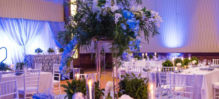 巴巴多斯希尔顿度假村(Hilton Barbados Resort)图片