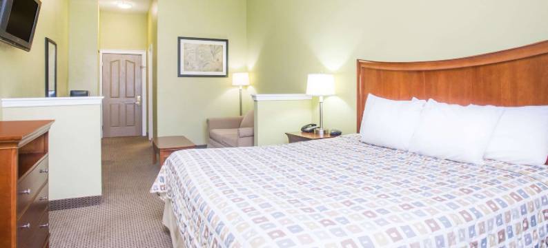 斯溫斯伯罗戴斯套房酒店(Days Inn & Suites by Wyndham Swainsboro)图片