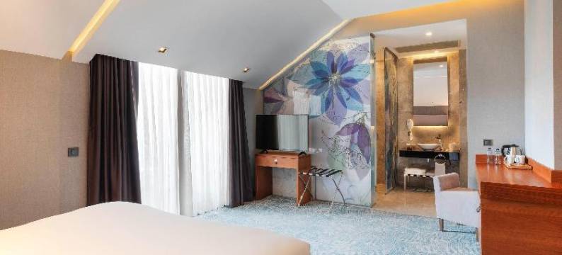 伊斯坦布尔阿塔西尔宜必思尚品酒店(Ibis Styles Istanbul Atasehir)图片