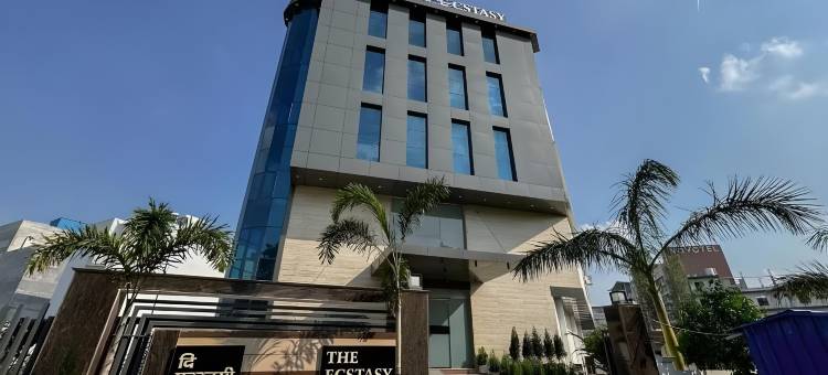 The Ecstasy Hotel图片