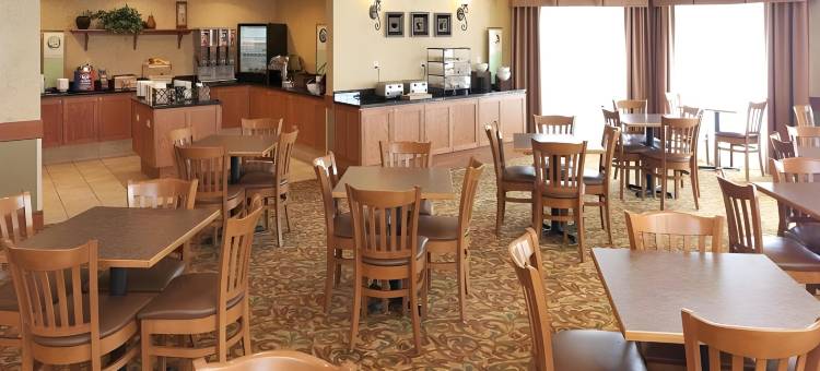 芝加哥西-罗塞尔智选假日套房酒店(Holiday Inn Express & Suites Chicago West-Roselle)图片