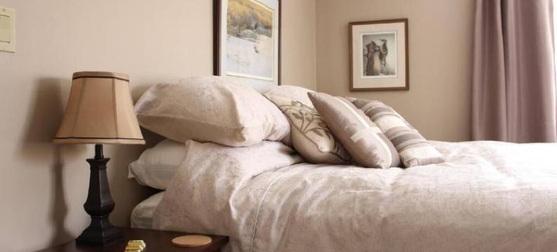 顺风民宿(Tailwinds B&B)图片