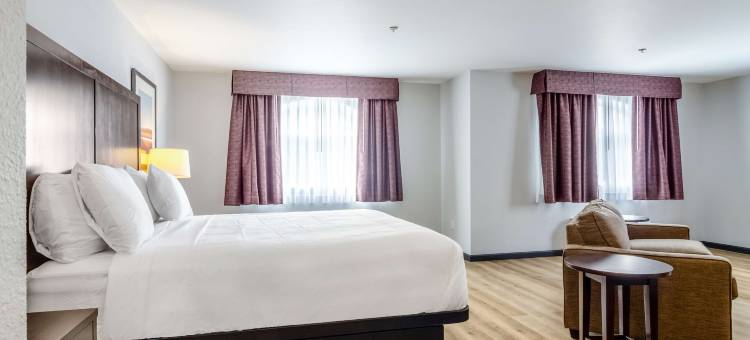 得梅因红狮套房酒店(Red Lion Inn & Suites des Moines)图片