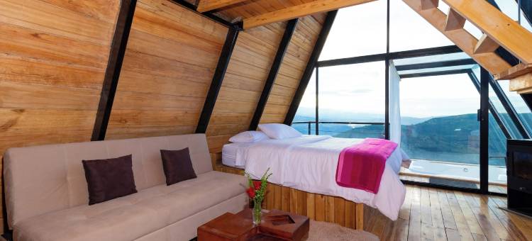 梦中的雪松(El Cedro SOÑADO)图片