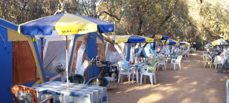 哈尼亚露营地(Camping Chania)图片