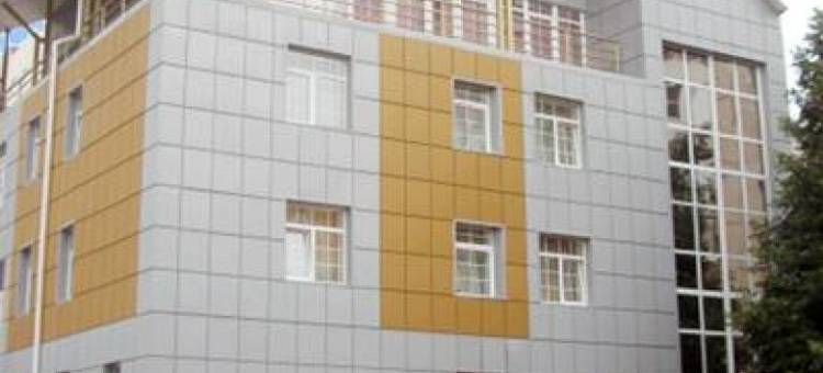 维德诺阿利昂斯酒店(Alyans Vidnoe Hotel)图片