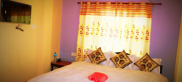 国家公园酒店(Hotel National Park Sauraha- Homely Stay and Peaceful Location with Jungle Safari Arrangements)图片