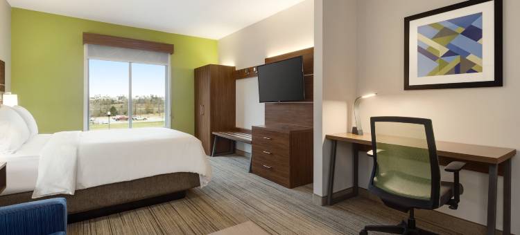 智选假日套房酒店欧佩莱卡赤褐色(Holiday Inn Express & Suites Opelika Auburn)图片