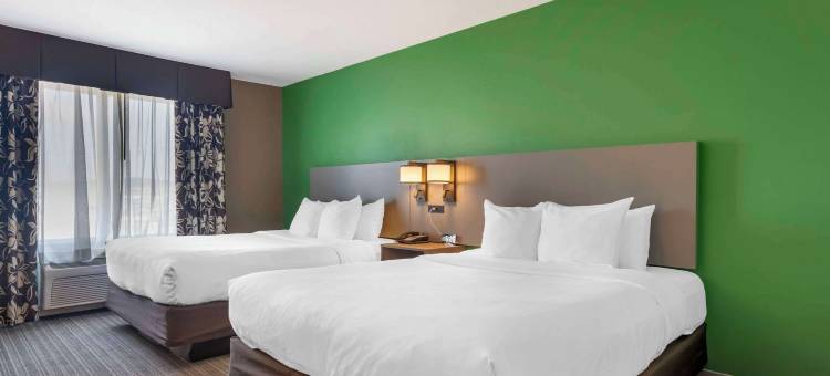 拉皮德城舒适套房酒店及会议中心(Comfort Suites Conference Center Rapid City)图片