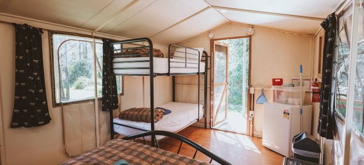 BIG4 微风假日公园 - 卡那封峡谷(Big4 Carnarvon Gorge Holiday Park)图片