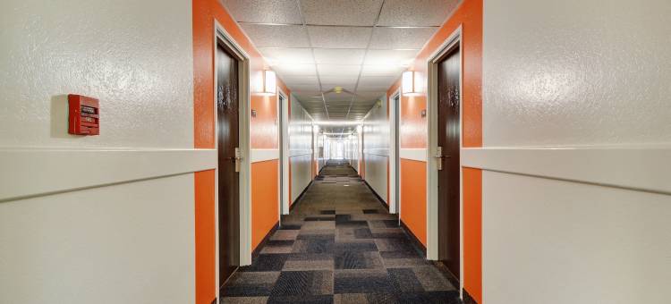 马萨诸塞州 - 东普罗维登斯锡康克 6 号汽车旅馆(Motel 6 Seekonk, MA  Providence East)图片