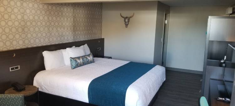 Y 酒店(The Hotel Y)图片