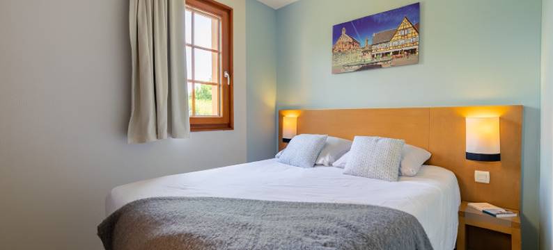 皮埃尔＆假期克洛斯埃圭斯海姆酒店(Résidence Pierre & Vacances le Clos d'Eguisheim)图片