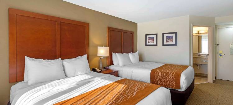 肯尼索舒适酒店(Comfort Inn Kennesaw)图片