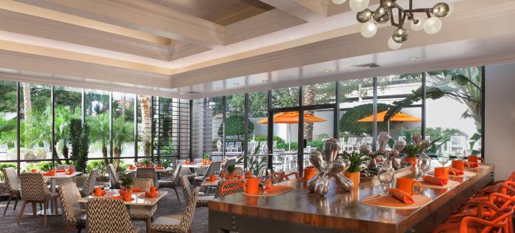 圣彼得堡海湾希尔顿酒店(Hilton St. Petersburg Bayfront)图片