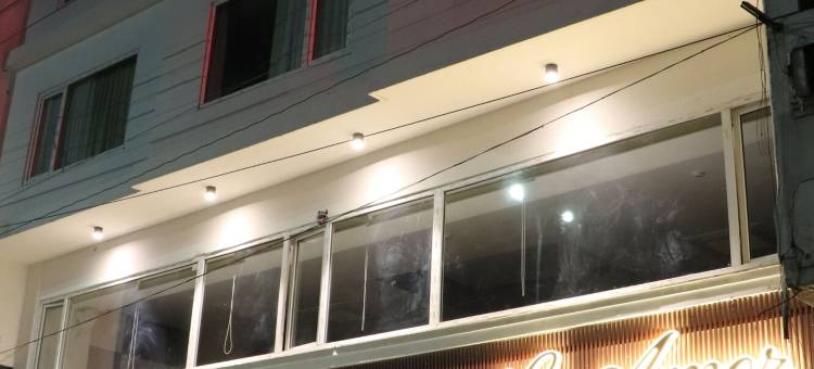 勒阿莫尔豪华酒店(Hotel le Amor)图片