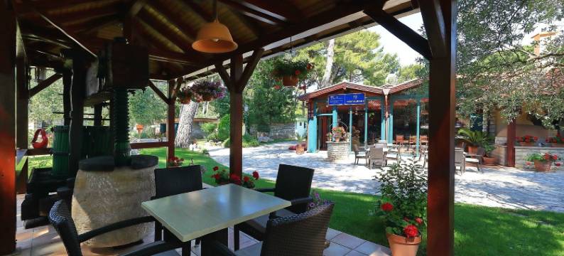 地中海乡村圣安东尼奥酒店(Mediterranean Village San Antonio)图片