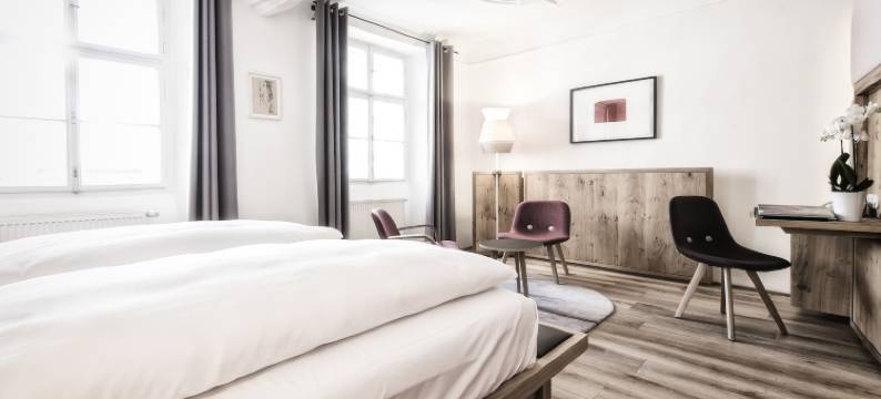 蓝骑士甘斯艺术酒店(ArtHotel Blaue Gans)图片