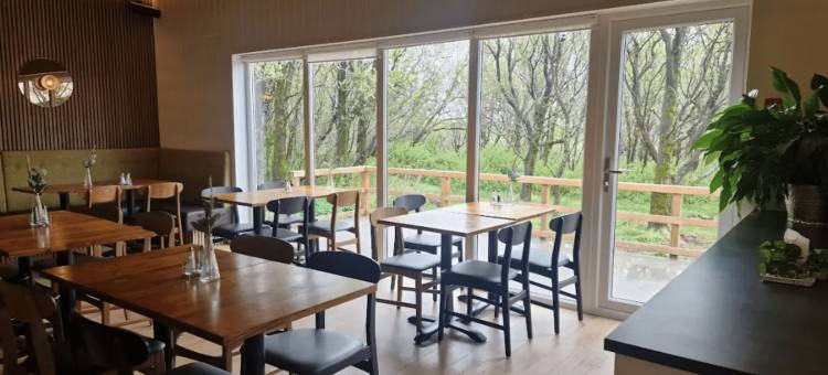 索尔海马夏列卡旅馆(Sólheimahjáleiga Guesthouse)图片