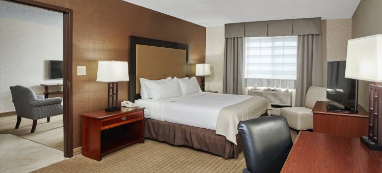 Holiday Inn & Suites 芝加哥罗斯奇姆(惠顿)(Holiday Inn & Suites Chicago-Carol Stream (Wheaton))图片