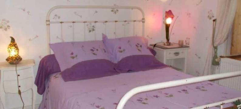 安坦 - 拉费蒙奥克塔弗酒店(A l'Antan - la Ferme d'Octave)图片