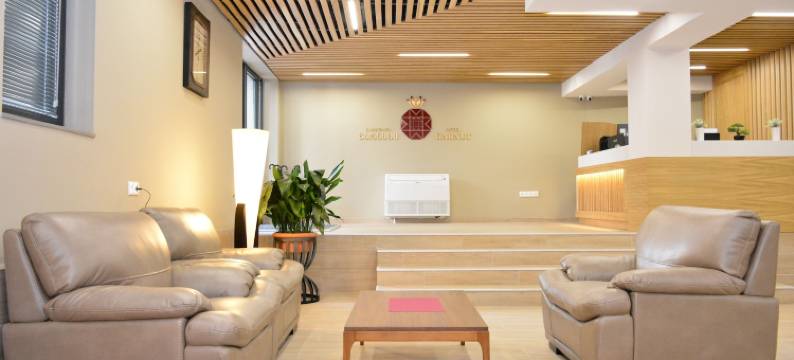 第比利斯加奈特酒店(Hotel Garnet Tbilisi)图片