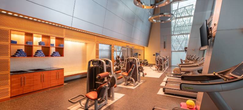 羚羊机场酒店-仅限转机(Oryx Airport Hotel -Transit Only)图片