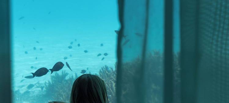 马尔代夫芙花芬度假村(Huvafen Fushi)图片