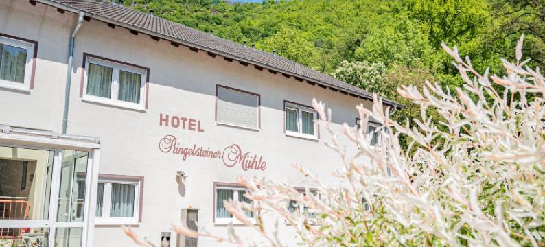 林格斯汀讷木勒兰德酒店(Landhotel Ringelsteiner Mühle)图片