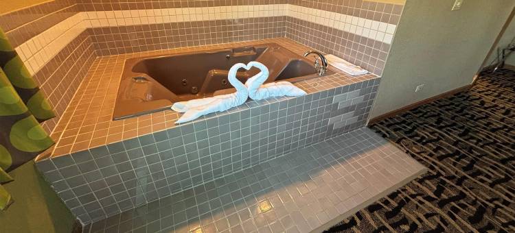 麦克里恩-布卢明顿西南温德姆速8酒店(Super 8 by Wyndham McLean/Bloomington SW)图片