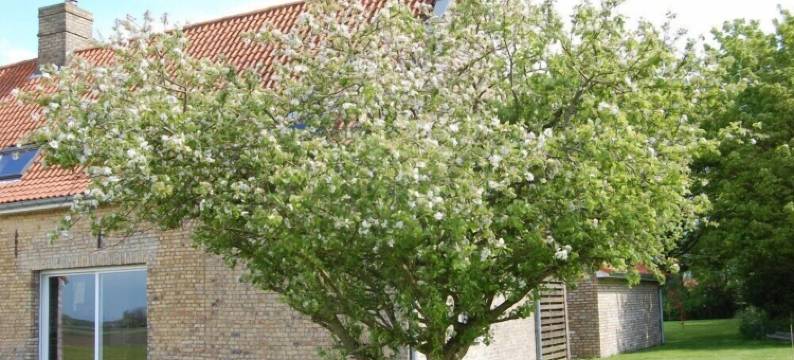 浩特姆拉勒住宿加早餐旅馆(La Haute Muraille)图片