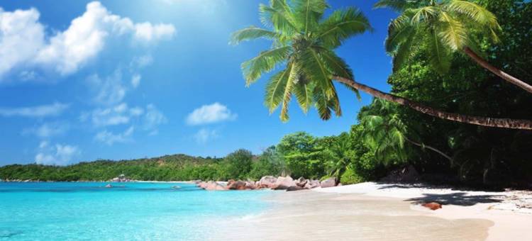 民丹岛悦梿酒店(Cassia Bintan, part of Banyan Group)图片