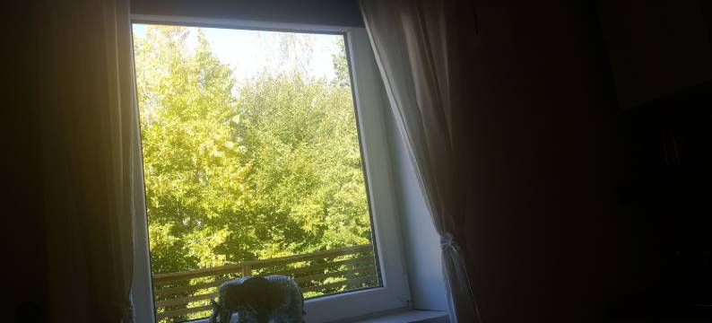 舍多普旅馆(SJÖTORPS Hostel)图片