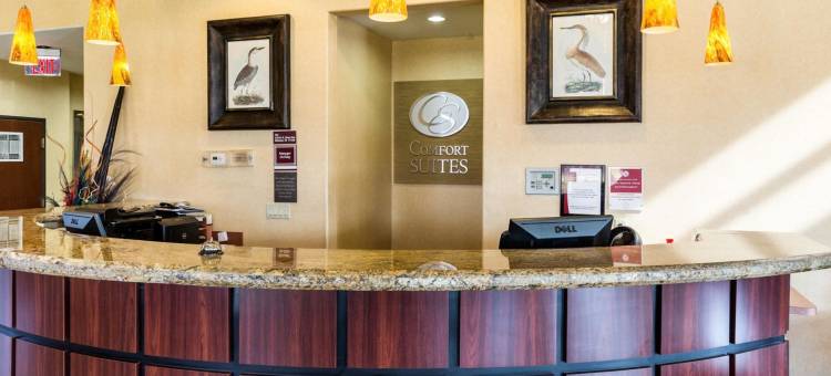 克利尔莱克舒适套房酒店-近NASA(Comfort Suites Near NASA - Clear Lake)图片