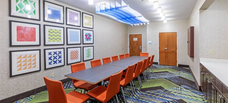 智选假日套房酒店拉斐特南(Holiday Inn Express & Suites Lafayette-South)图片