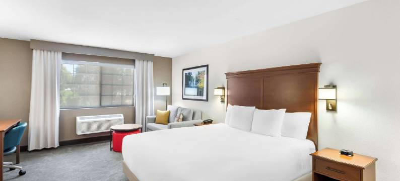 舒适酒店及套房苏珊维尔(Comfort Inn & Suites)图片