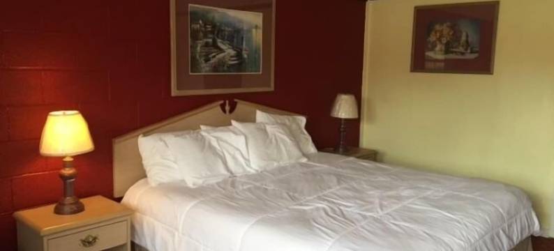 钟塔汽车旅馆(Tower Motel)图片