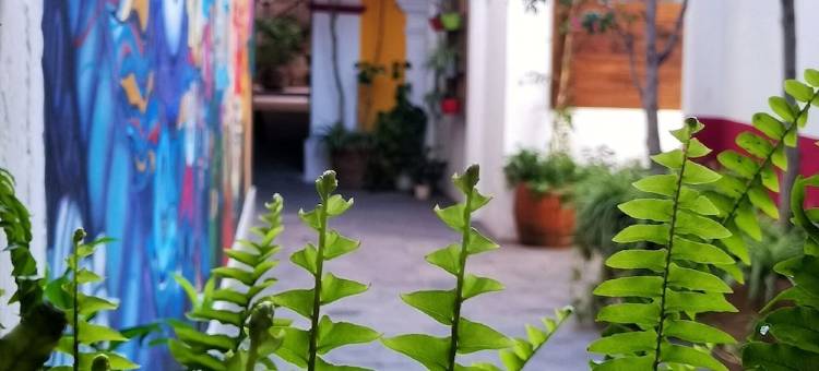 圣约瑟夫塔民宿(Santa Josefita Bed & Breakfast)图片