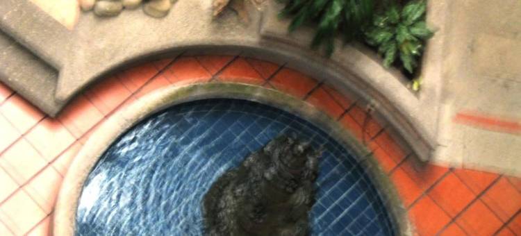 瑞福尔玛图斯潘酒店(Hotel Reforma Tuxpan)图片