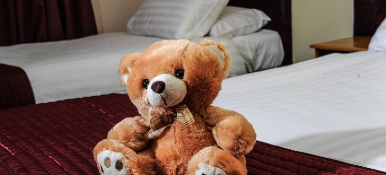 科汉诺旅馆(Cohannon Inn)图片