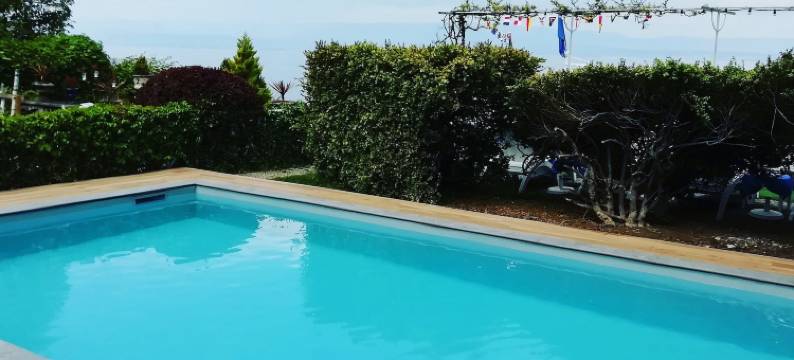 天鹅酒店(Les Cygnes)图片