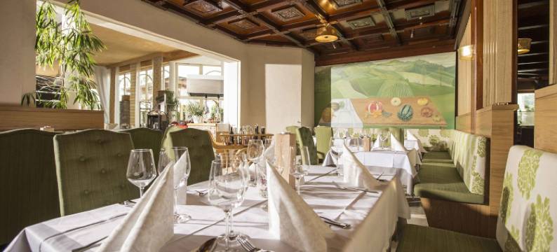 奥晨斯伯格花园酒店(Garten-Hotel Ochensberger)图片