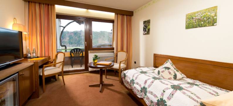 黑森林酒店(Silberkönig Schwarzwald Hotel & Restaurant Ringhotel)图片